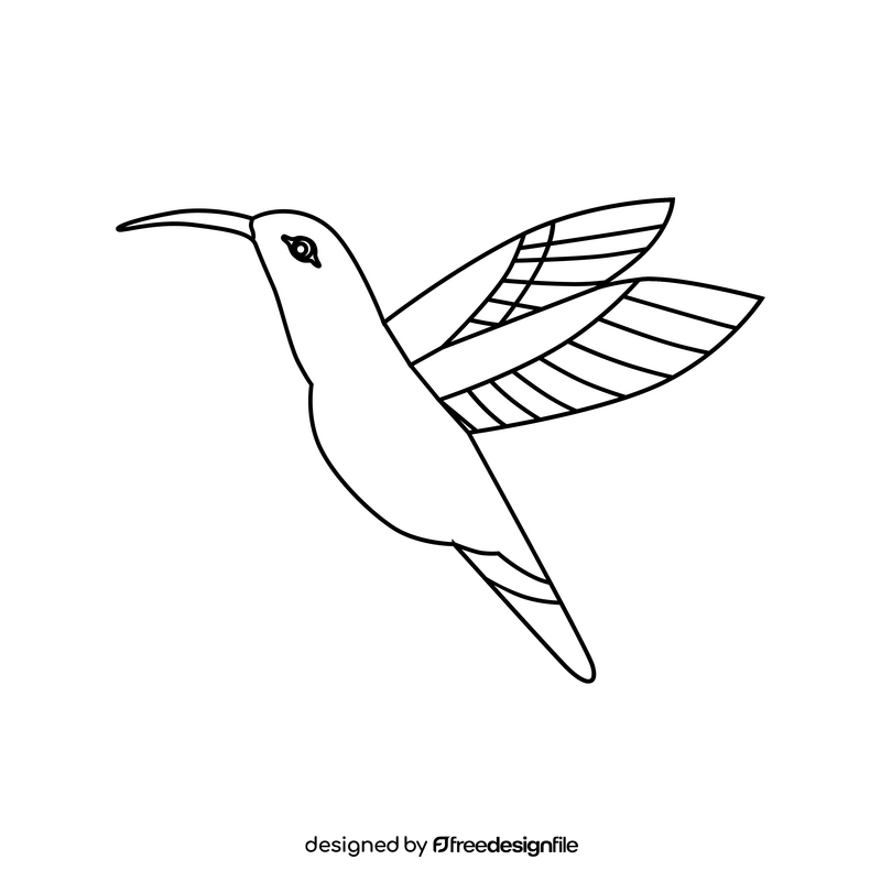 Colibri black and white clipart