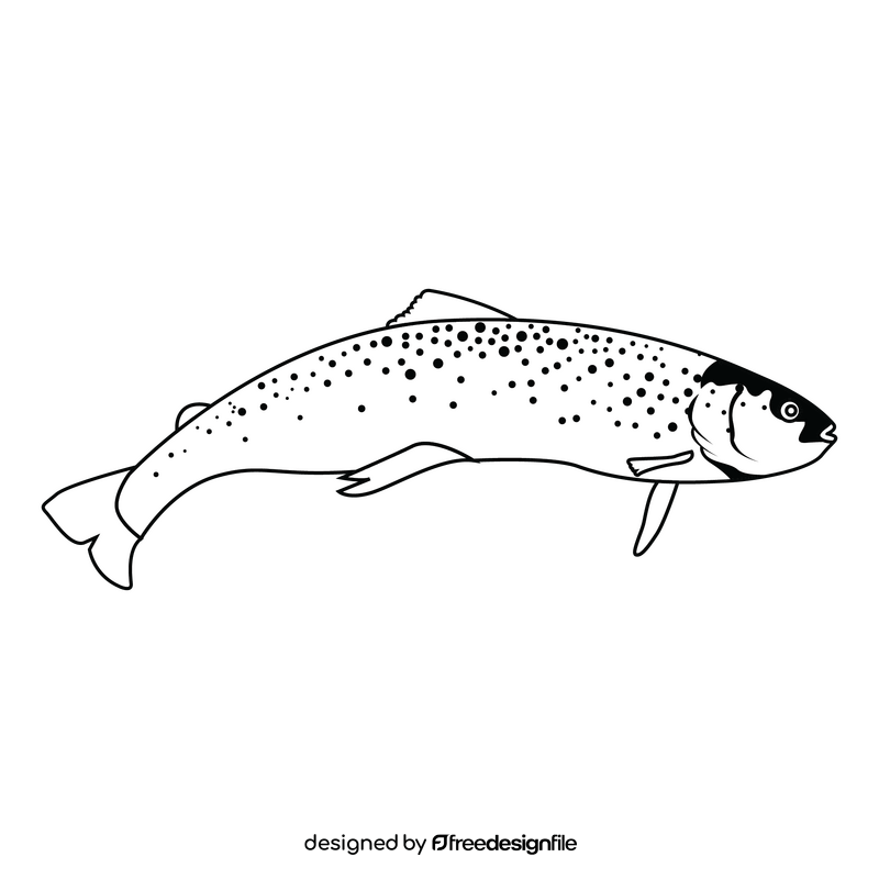 Trout fish black and white clipart