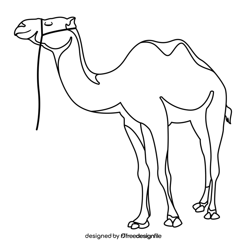 Camel black and white clipart