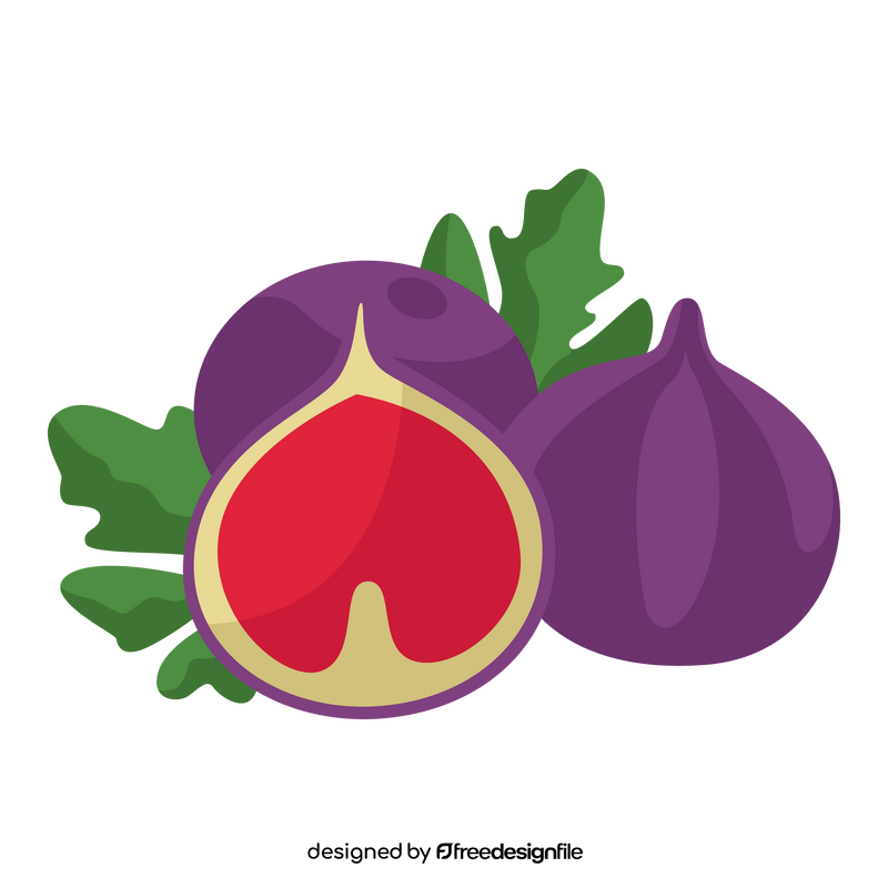 Fig fruit clipart