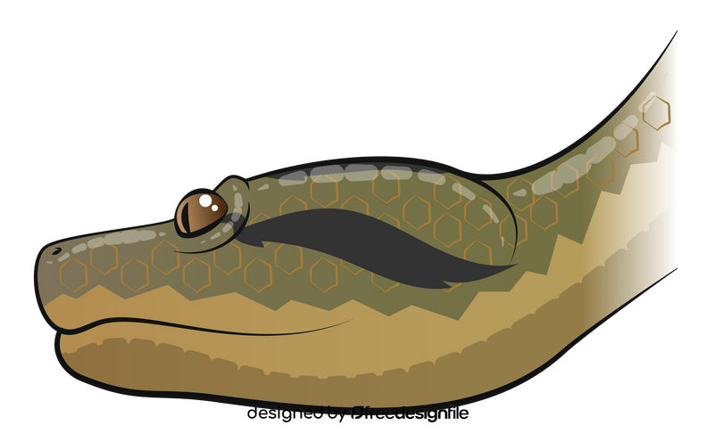 Anaconda clipart