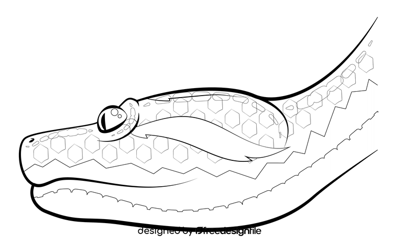 Anaconda drawing black and white clipart