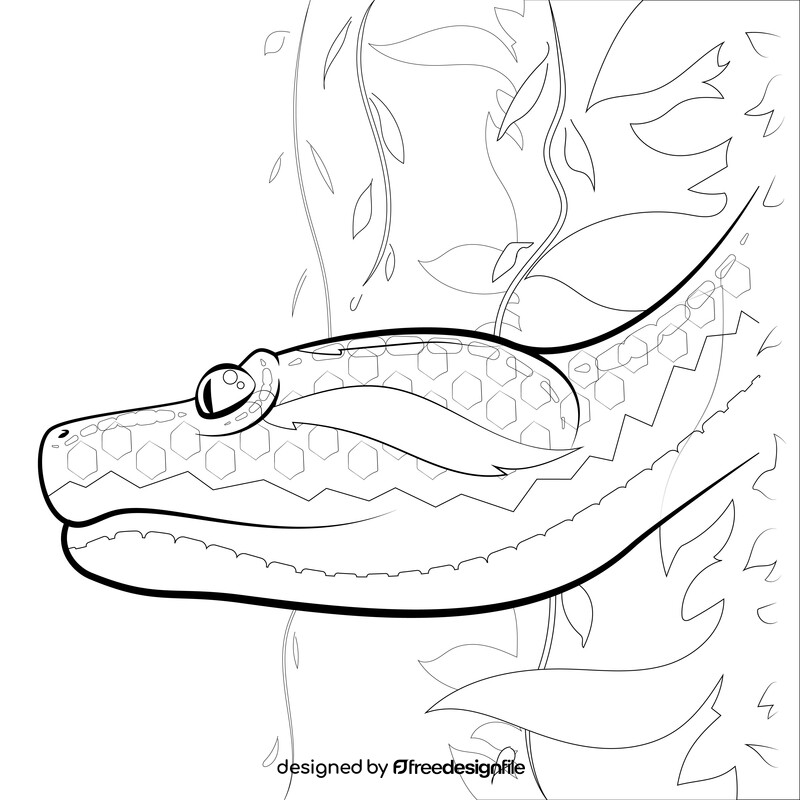 Anaconda drawing black and white vector