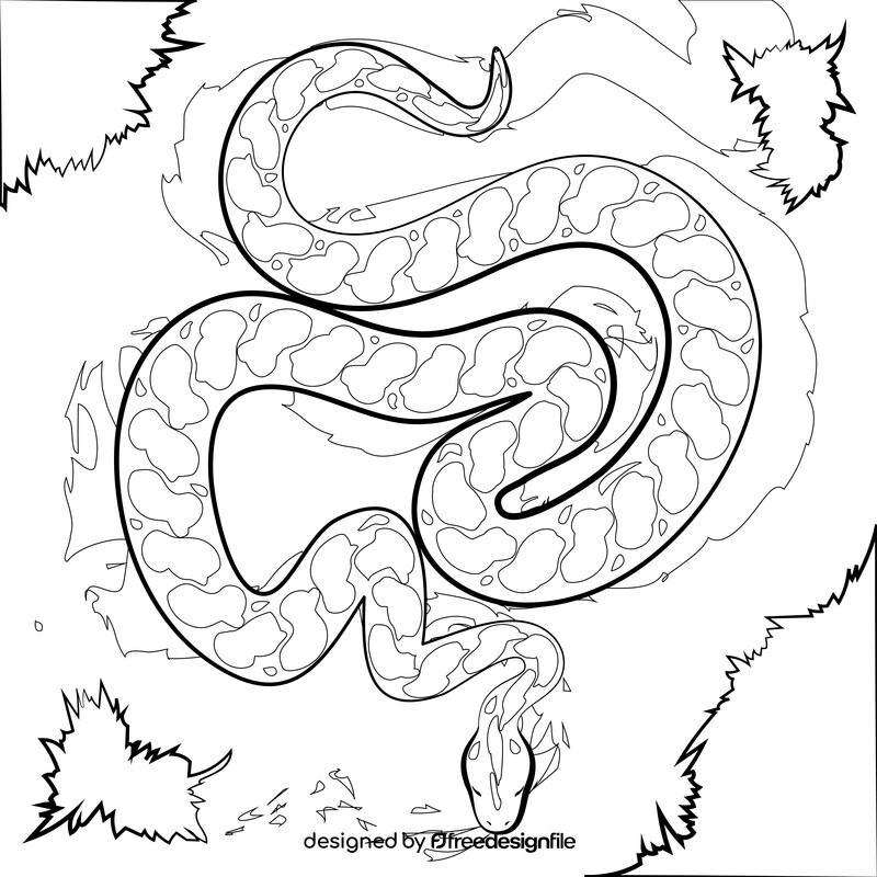 Anaconda snake drawing black and white vector