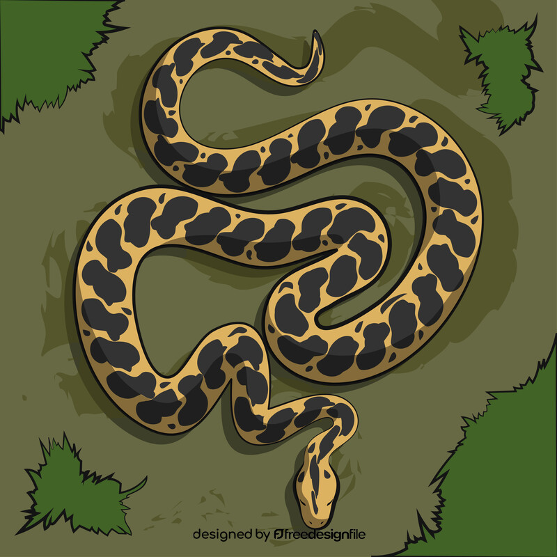 Anaconda snake vector