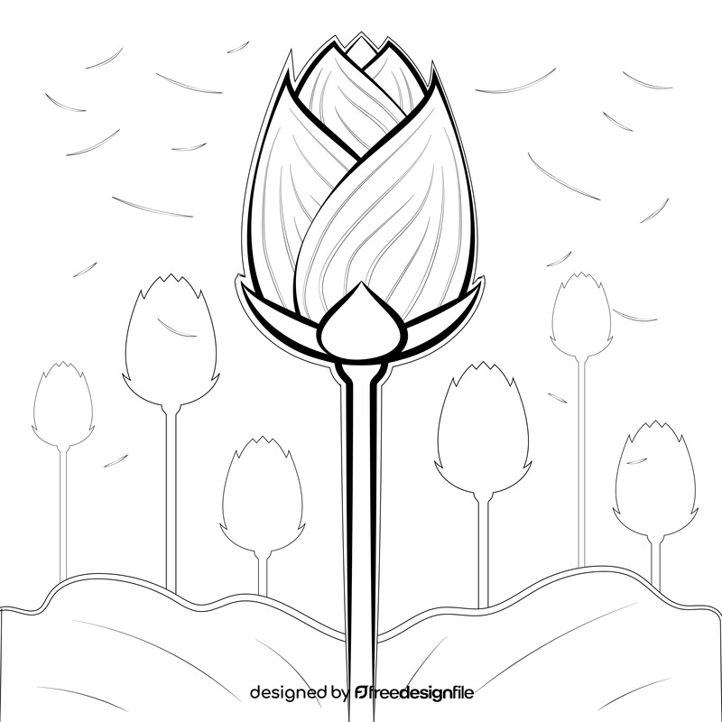 Lotus flower drawing black and white vector