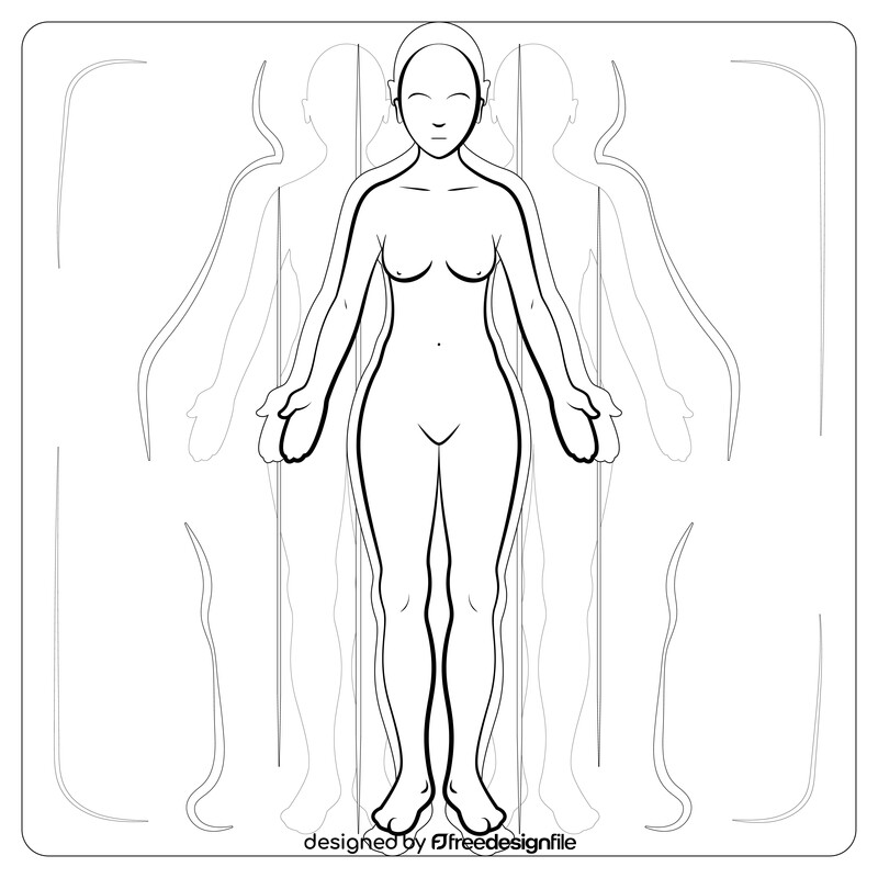 Anatomy drawing black and white vector