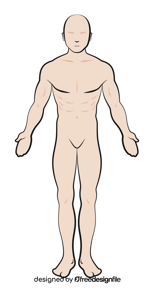 Anatomy clipart