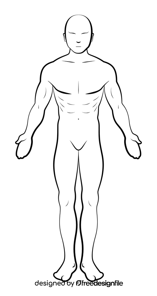 Anatomy drawing black and white clipart