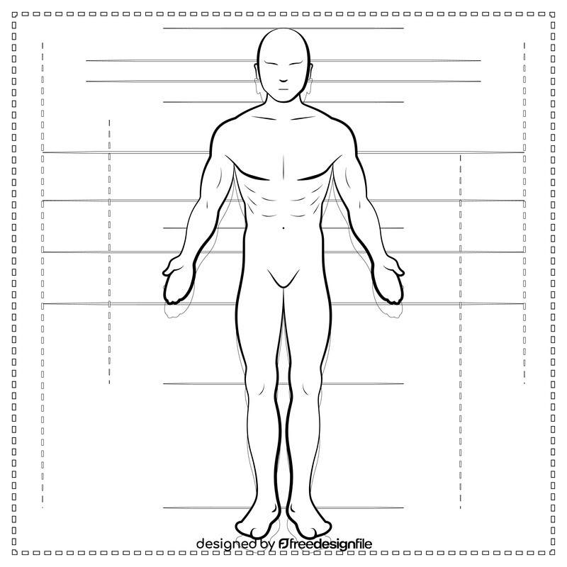 Anatomy drawing black and white vector