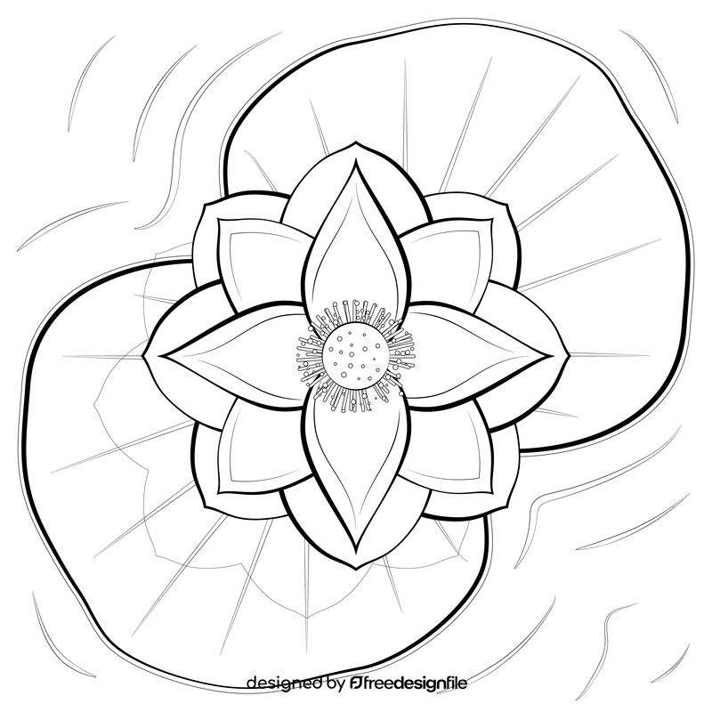 Lotus flower black and white vector