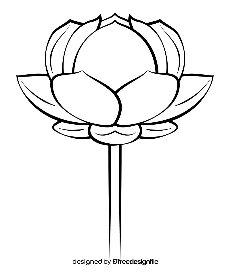 Lotus drawing black and white clipart