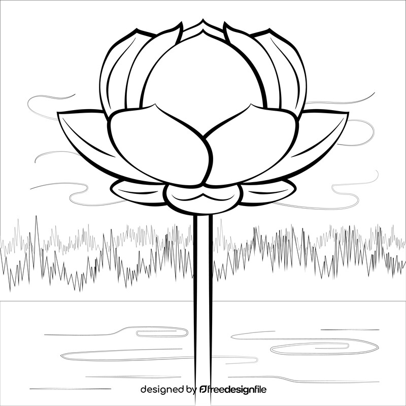 Lotus drawing black and white vector