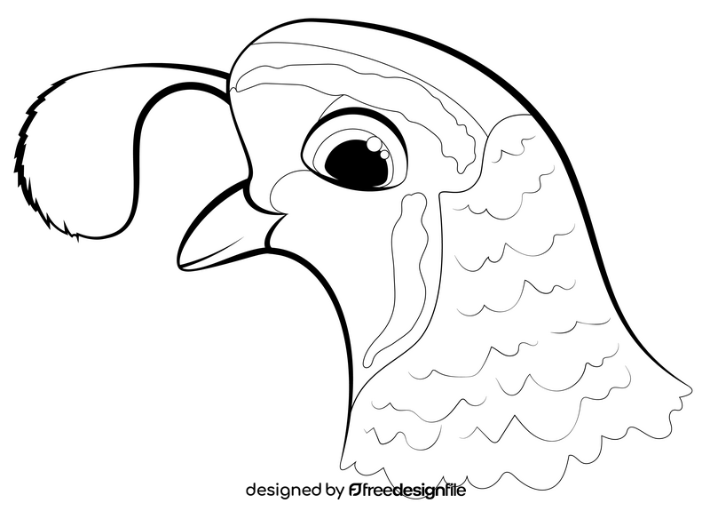 Quail black and white clipart