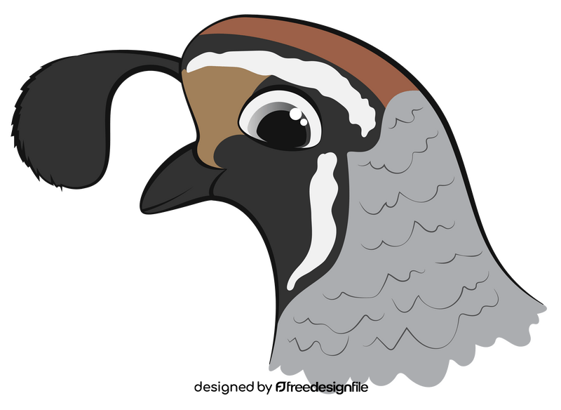 Quail clipart