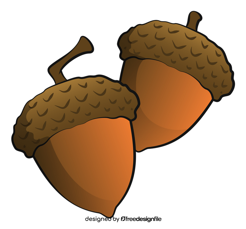 Fall acorn clipart