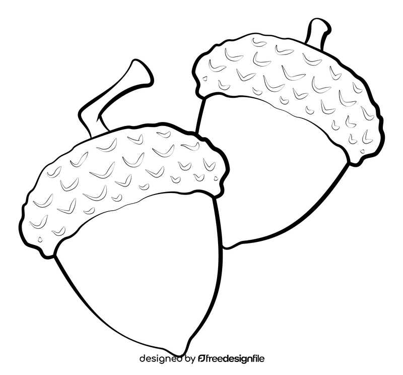 Fall acorn drawing black and white clipart