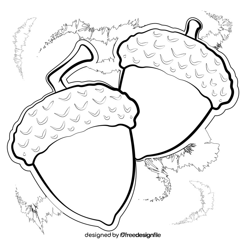 Fall acorn drawing black and white vector