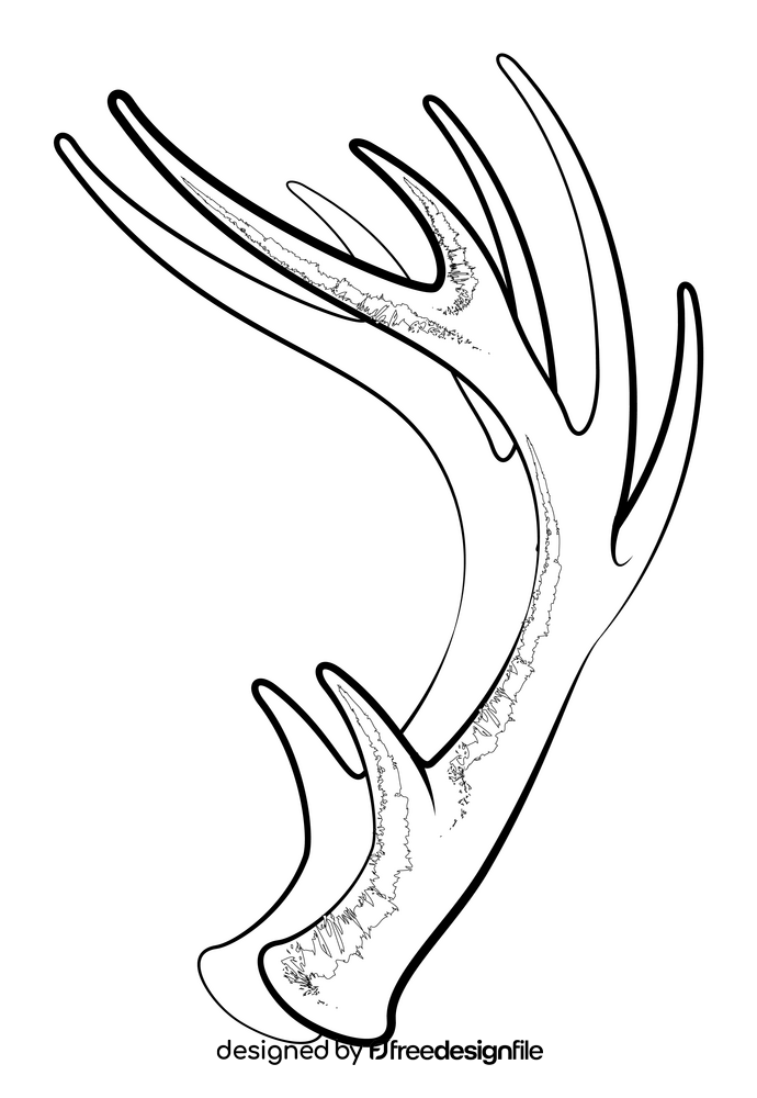 Deer antlers drawing black and white clipart