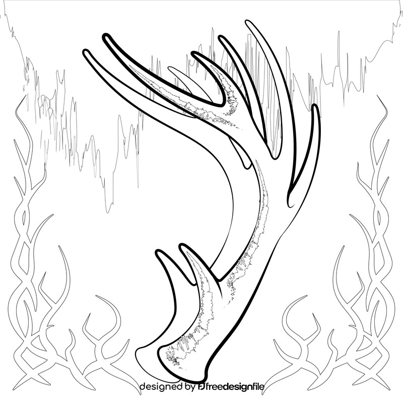 Deer antlers drawing black and white vector