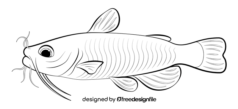 Catfish drawing black and white clipart