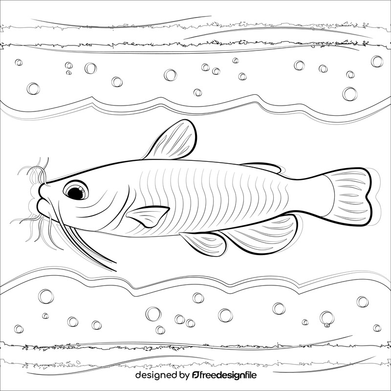 Catfish drawing black and white vector