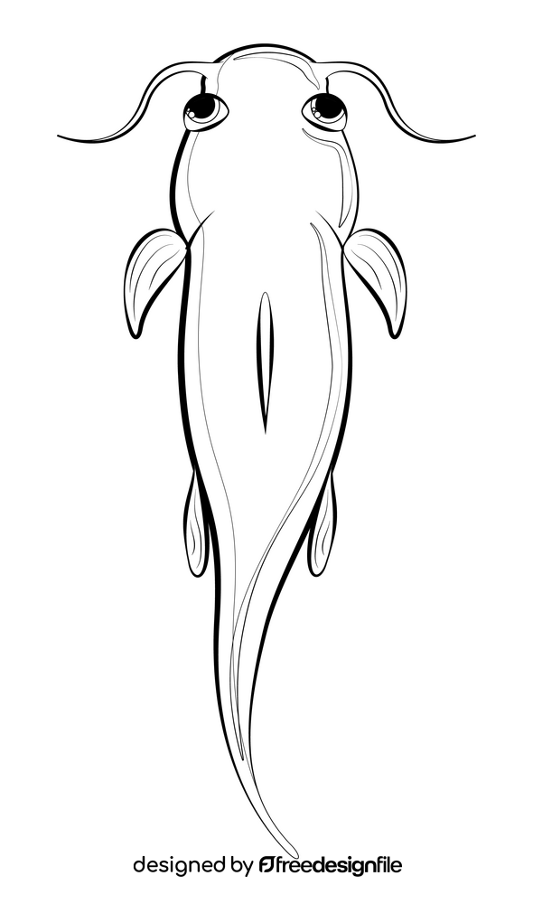 Catfish black and white clipart