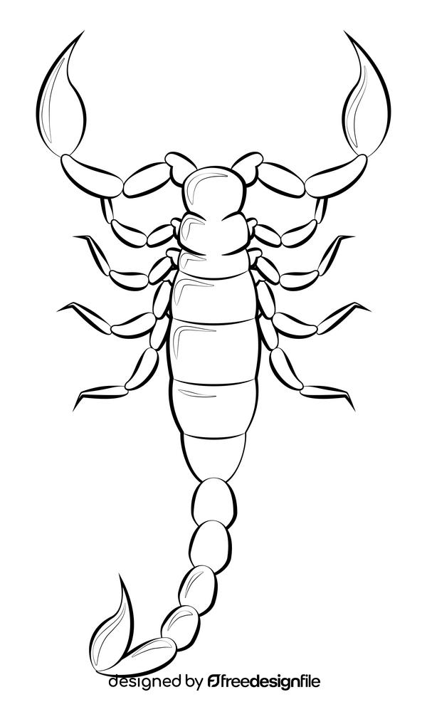 Scorpion drawing black and white clipart