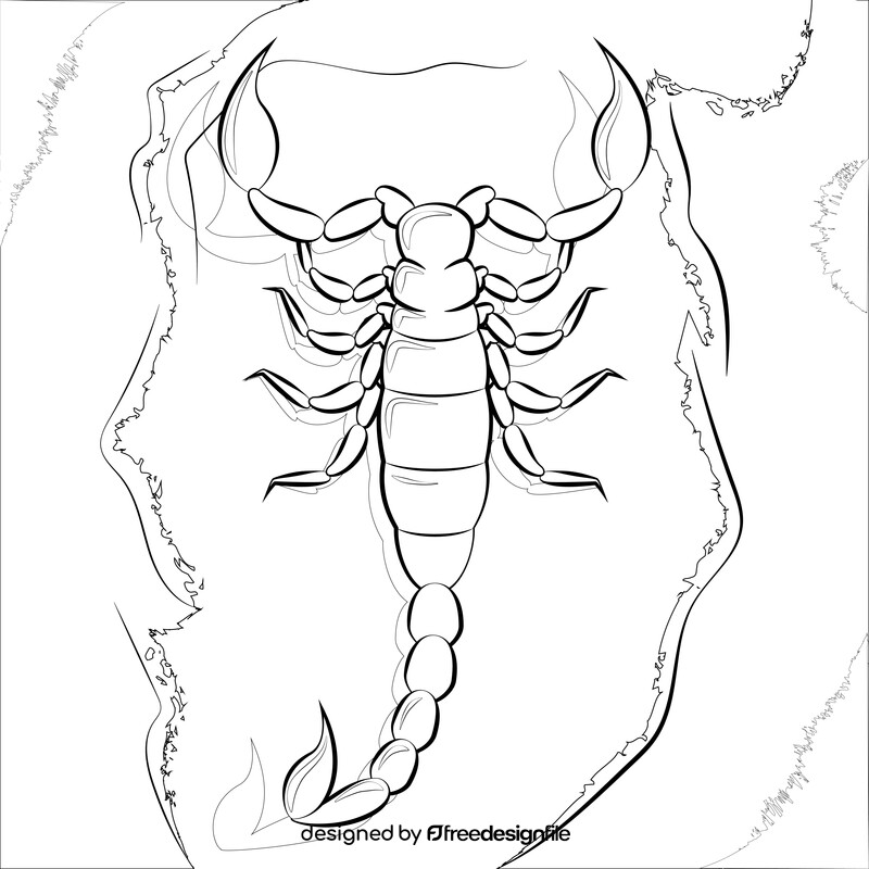 Scorpion drawing outline black and white vector