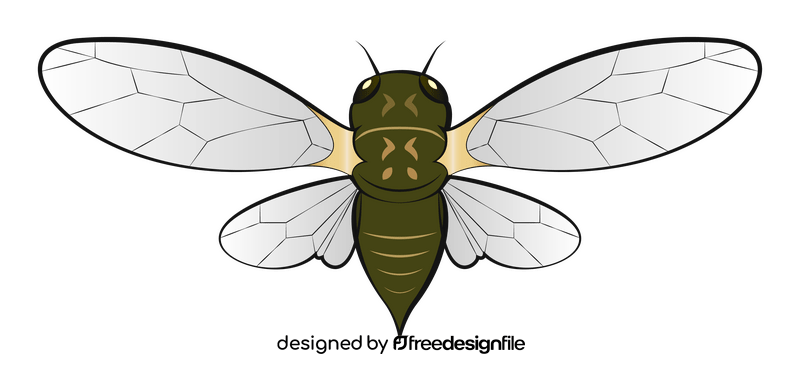 Cicada clipart