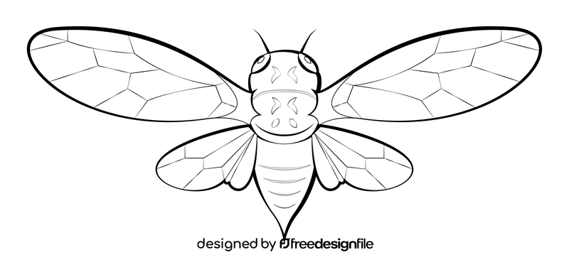 Cicada drawing black and white clipart