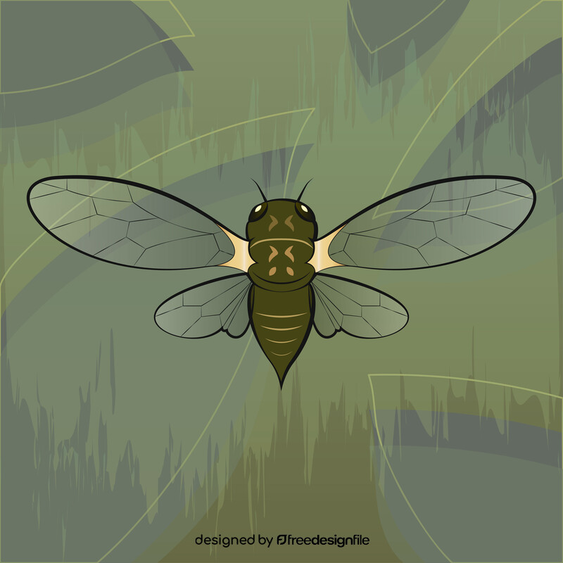 Cicada vector