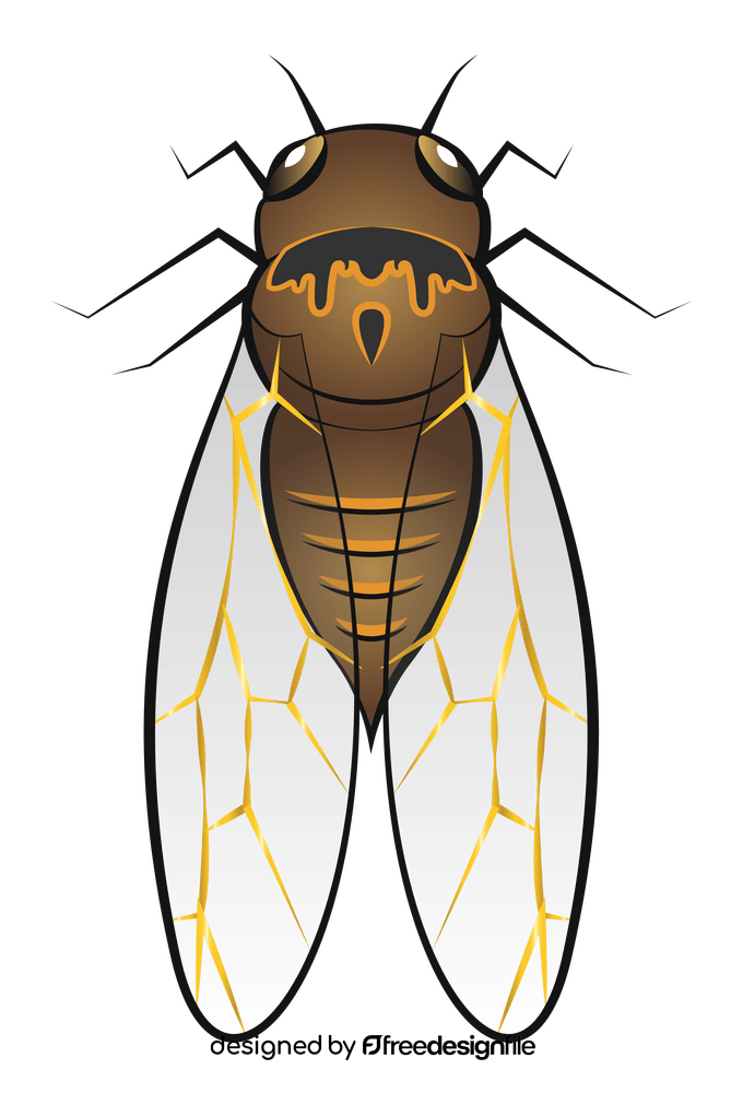 Cicada clipart