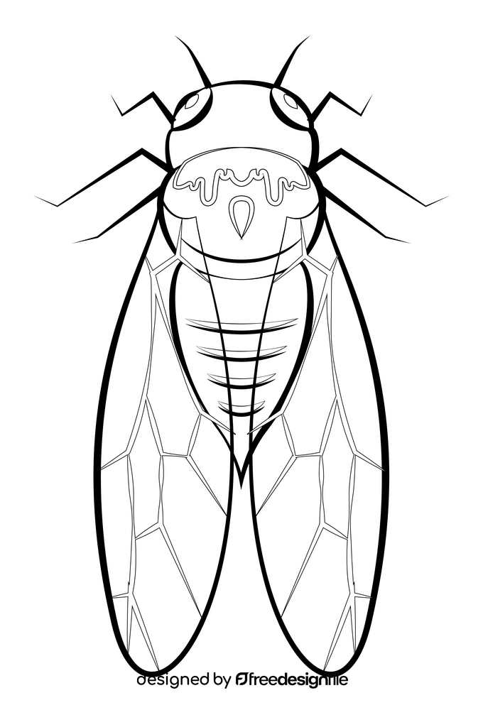 Cicada drawing black and white clipart