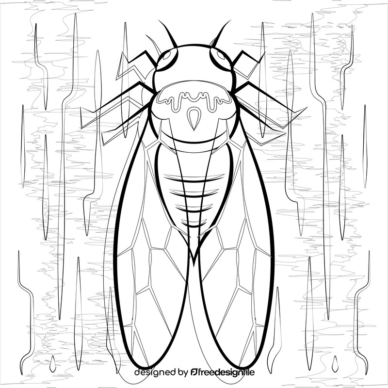 Cicada drawing black and white vector