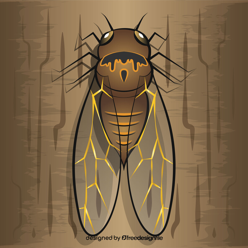 Cicada vector