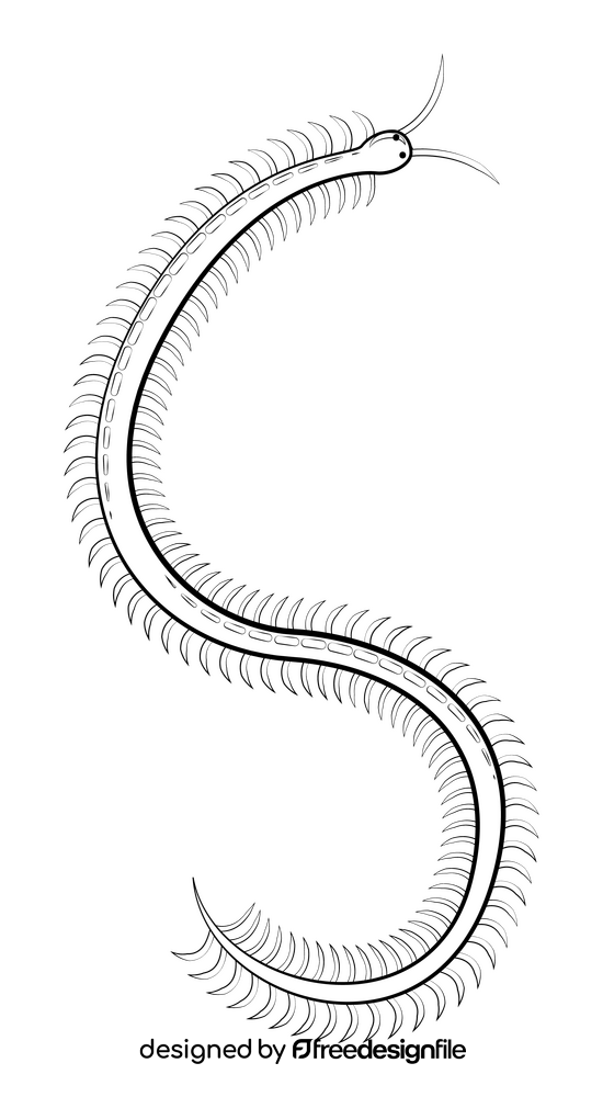 Centipede black and white clipart