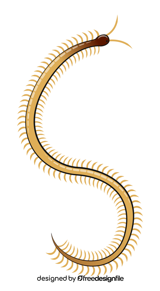 Centipede clipart