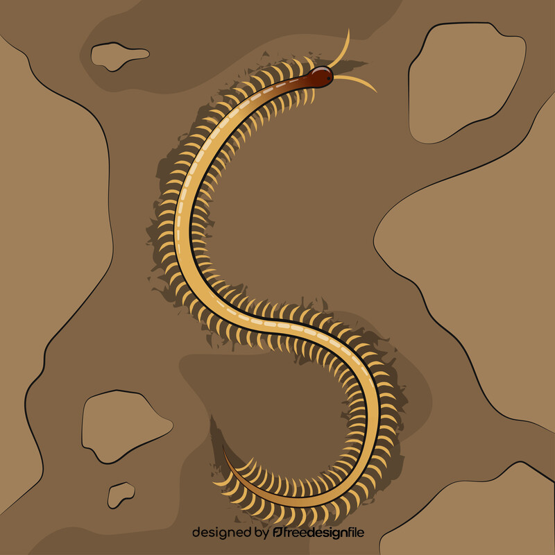 Centipede vector