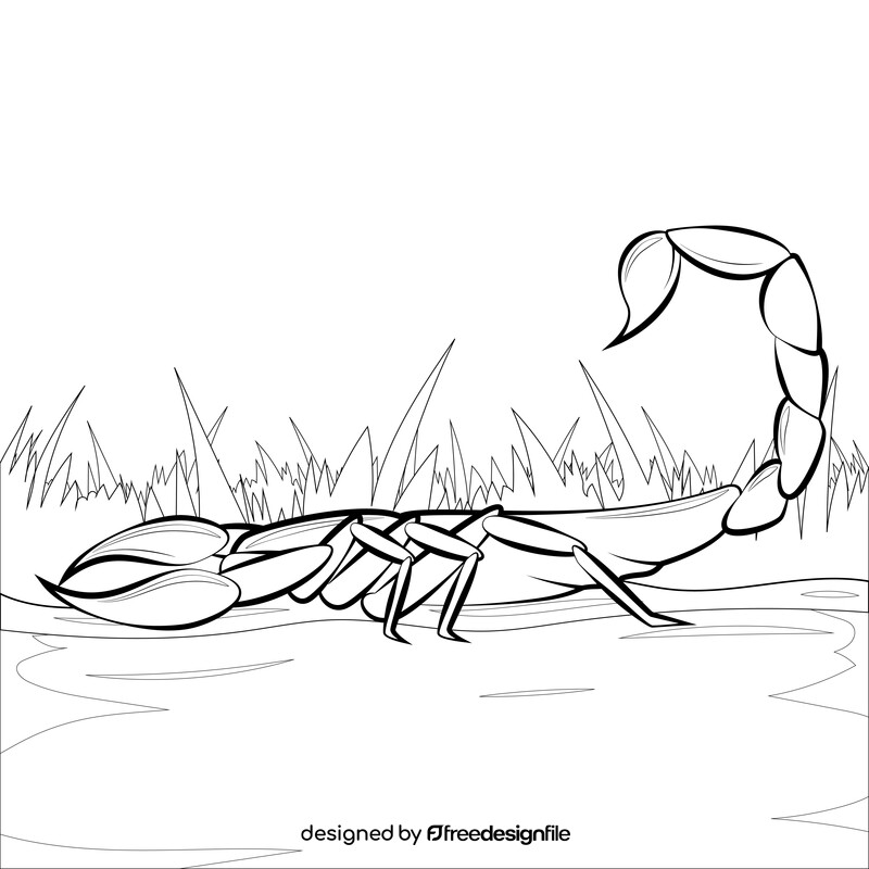 Scorpion drawing black and white vector