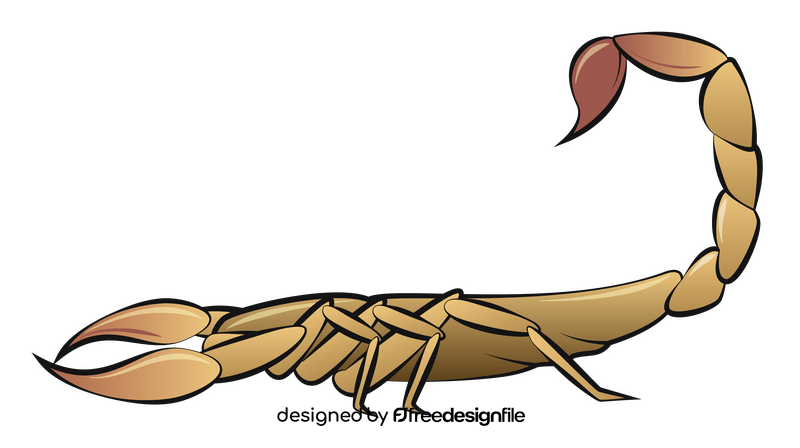 Scorpion drawing clipart