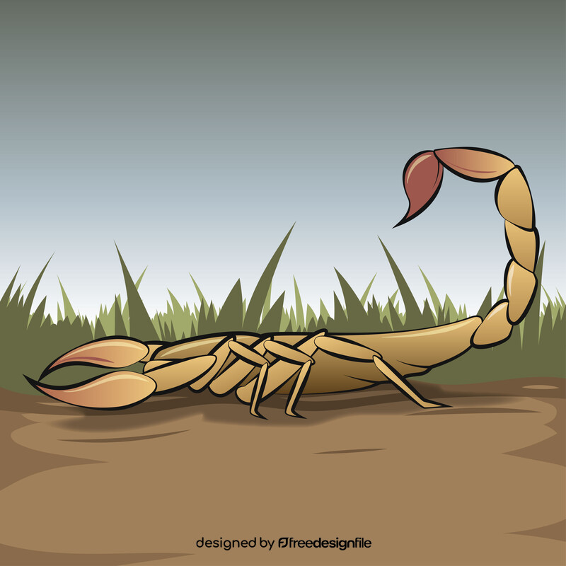 Scorpion drawing vector