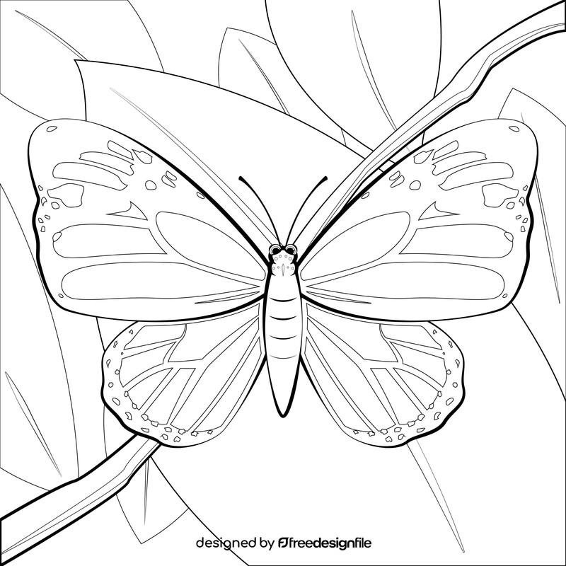 Monarch butterfly drawing black and white vector