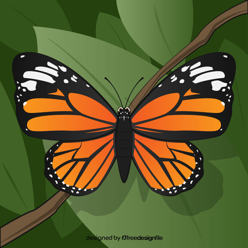 Monarch butterfly vector