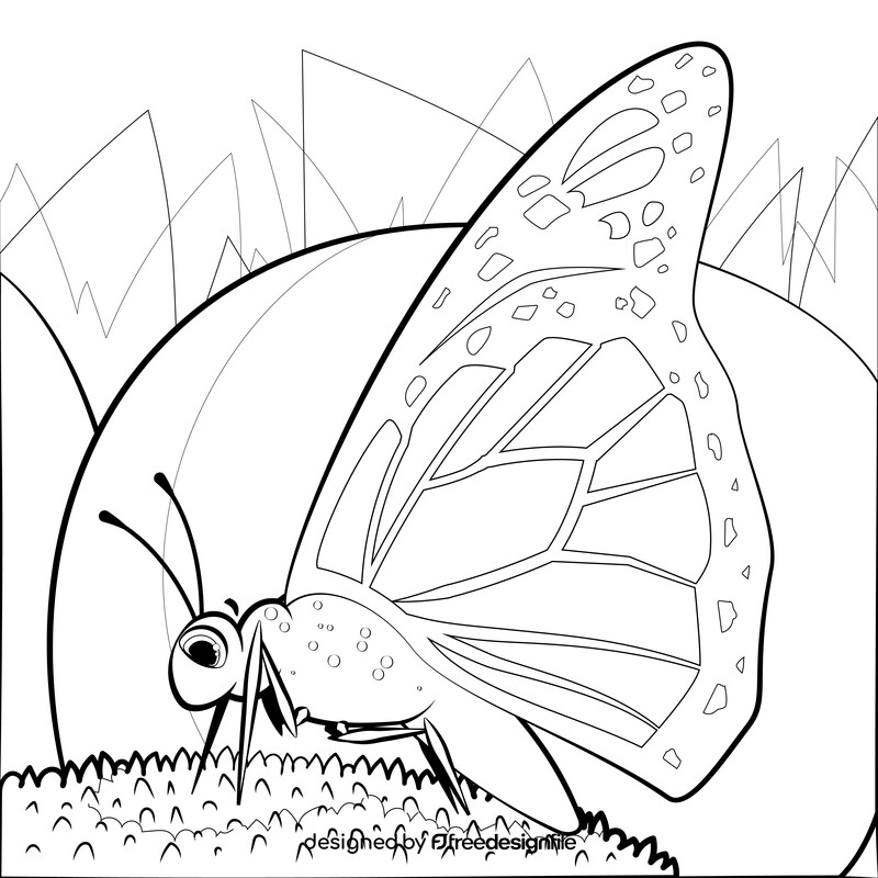 Monarch butterfly drawing black and white vector