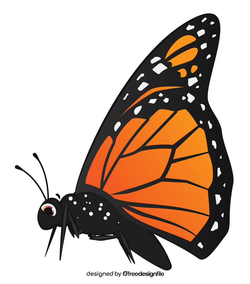 Monarch butterfly drawing clipart