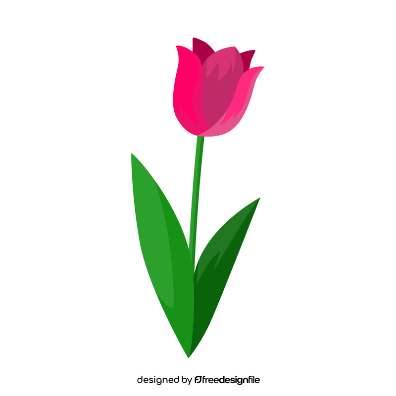 Tulip flower clipart