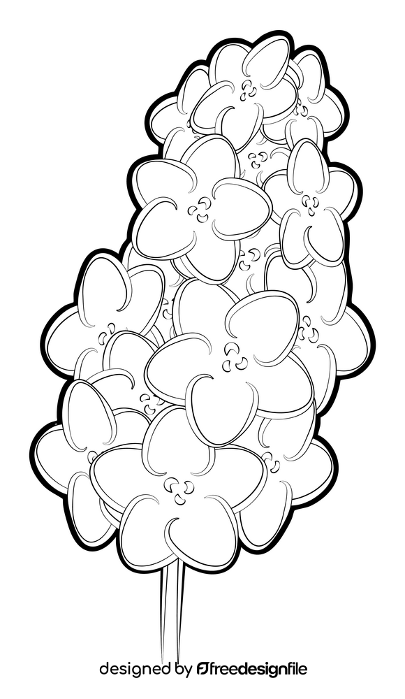 Lavender flower drawing black and white clipart