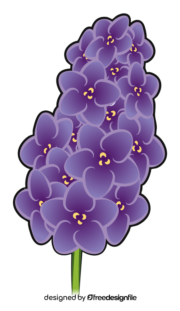 Lavender flower drawing clipart