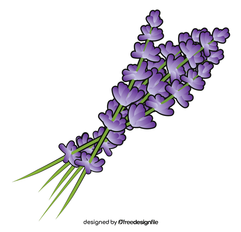 Lavender clipart